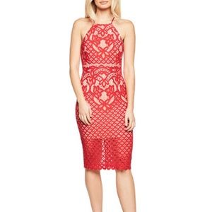 NWT Bardot Mila Lace Dress